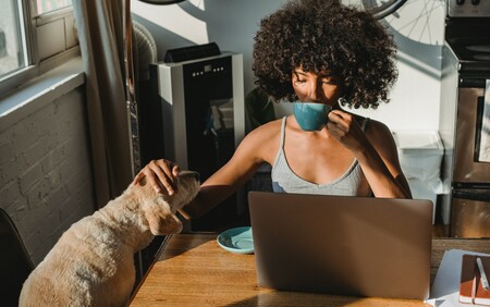 egg freezing women webinar