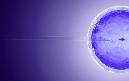 AdobeStock_207506433 (1).png