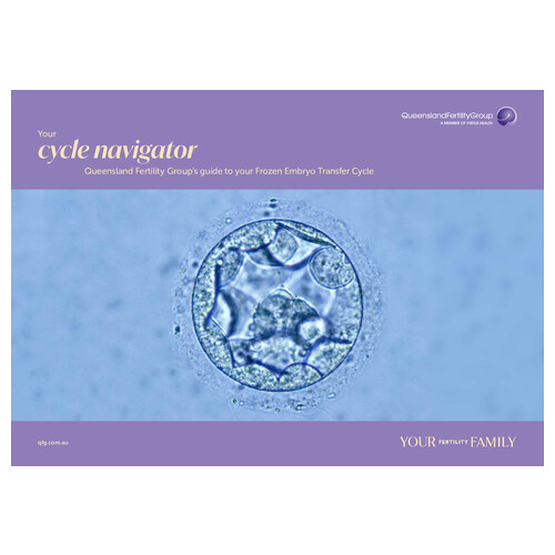 QFG FET Cycle Navigator November 2025